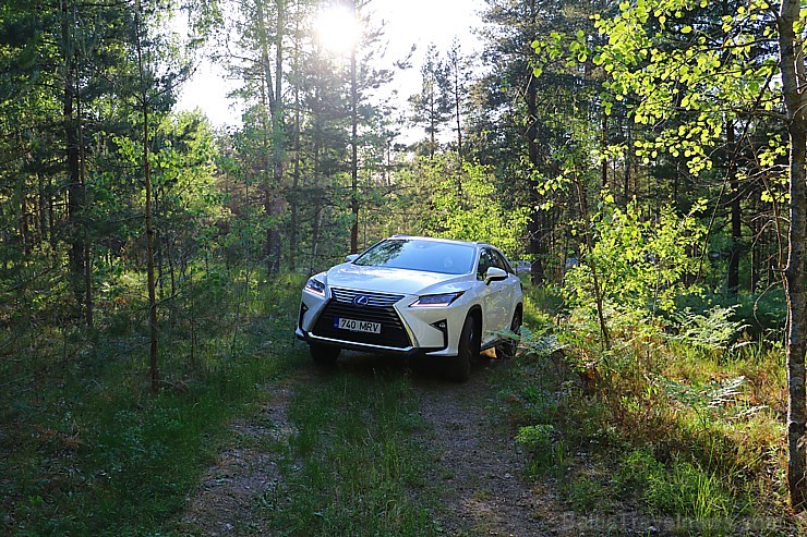 Travelnews.lv ar jauno 7-vietīgo «Lexus RX 450hL» apceļo Jelgavu, Jūrmalu, Talsus un Rīgu 224732