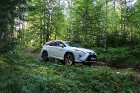 Travelnews.lv ar jauno 7-vietīgo «Lexus RX 450hL» apceļo Jelgavu, Jūrmalu, Talsus un Rīgu 24