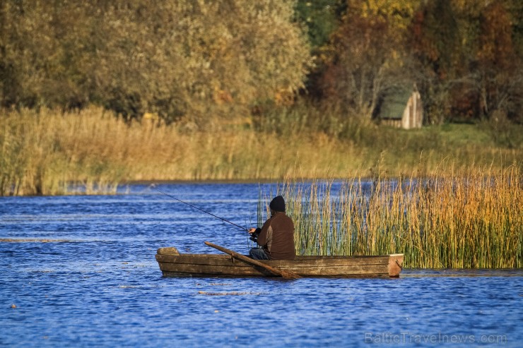 Bīriņu Pils parks ir brīnišķīga vieta zelta rudens baudīšanai 235588