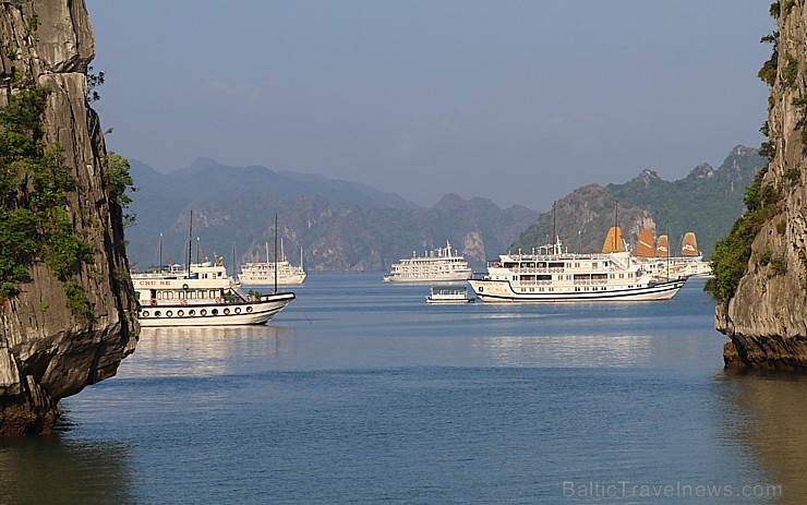 Vjetnamas Halongas līcī ik dienas dodas 650 kruīzu kuģi un zvejnieku laivas. Sadarbībā ar 365 brīvdienas un Turkish Airlines 235643