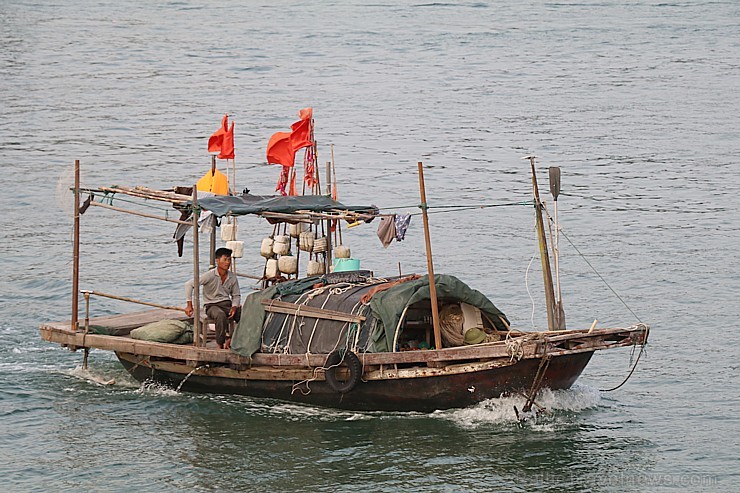 Vjetnamas Halongas līcī ik dienas dodas 650 kruīzu kuģi un zvejnieku laivas. Sadarbībā ar 365 brīvdienas un Turkish Airlines 235652