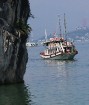 Vjetnamas Halongas līcī ik dienas dodas 650 kruīzu kuģi un zvejnieku laivas. Sadarbībā ar 365 brīvdienas un Turkish Airlines 23