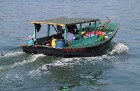 Vjetnamas Halongas līcī ik dienas dodas 650 kruīzu kuģi un zvejnieku laivas. Sadarbībā ar 365 brīvdienas un Turkish Airlines 36