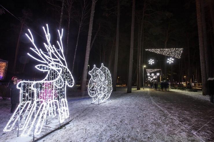 Jūrmalā - Dzintaru mežaparkā - atklāts Gaismas parks, kurā dažādos gaismas dekoros, skulptūrās jau otro gadu iemirdzas tūkstošiem LED gaismiņu. 239717