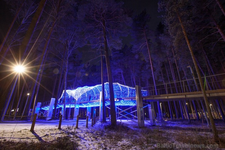 Jūrmalā - Dzintaru mežaparkā - atklāts Gaismas parks, kurā dažādos gaismas dekoros, skulptūrās jau otro gadu iemirdzas tūkstošiem LED gaismiņu. 239725