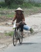 Vjetnamas galvenais transporta līdzeklis ir motorollers. Sadarbībā ar 365 brīvdienas un Turkish Airlines 52