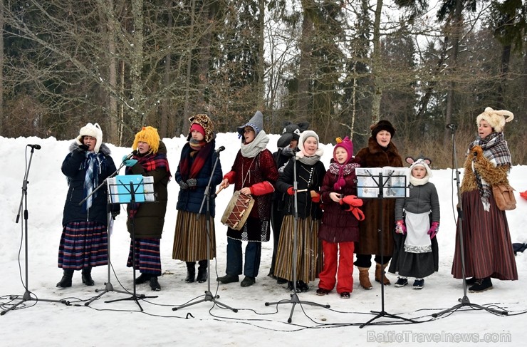 Kopā ar folkloristiem un latvisko tradīciju zinātājiem Alūksnē svinēja Meteņdienu, ejot rotaļās, lieloties, ēdot cūkas šņukuru, vizinoties no kalna un 245962