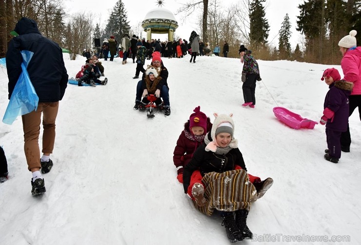 Kopā ar folkloristiem un latvisko tradīciju zinātājiem Alūksnē svinēja Meteņdienu, ejot rotaļās, lieloties, ēdot cūkas šņukuru, vizinoties no kalna un 245966