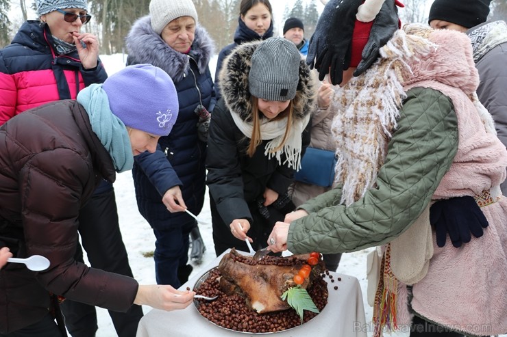 Kopā ar folkloristiem un latvisko tradīciju zinātājiem Alūksnē svinēja Meteņdienu, ejot rotaļās, lieloties, ēdot cūkas šņukuru, vizinoties no kalna un 245987