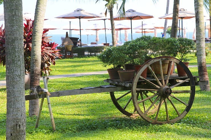 Travelnews.lv iepazīst Vjetnamas pludmales viesnīcas «Seahorse Resort & Spa» kopā ar 365 brīvdienas un Turkish Airlines 246432