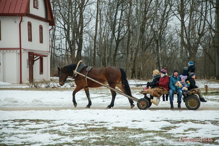 Ar poļu tautas dejām, ēdieniem, ķekatniekiem, Meteņu rotaļām un vizināšanos zirgu vilktajās kamanās grafu Plāteru pils pagalmā Krāslavā svin Meteņus 247167