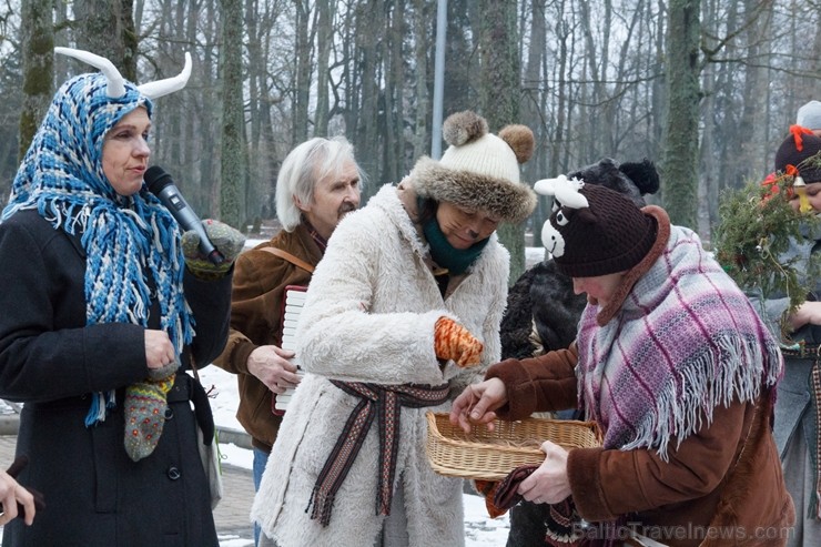 Rembates parkā pie Lielvārdes novada Kultūras centra jau otro gadu tika svinēti Meteņi, lai kopā ieskandinātu pavasari 247288