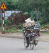 Travelnews.lv iepazīst Vjetnamas pilsētas Dalatas satiksmi. Atbalsta: 365 brīvdienas un Turkish Airlines 58
