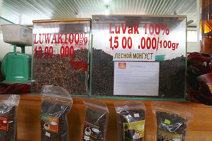 Travelnews.lv Dalatas pilsētā iepazīst kafijas grauzdētavu un restorānu. Atbalsta: 365 brīvdienas un Turkish Airlines 248793