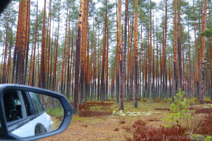 Travelnews.lv ar jauno «Audi Q3» apceļo Rīgu, Adažus, Ikšķili un Kuldīgu 249081