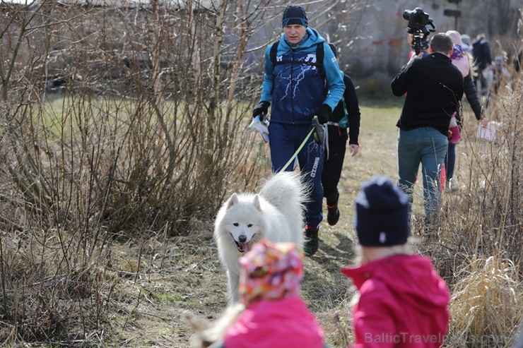 Pavasarīgos laika apstākļos Ziemeļblāzmas apkārtnē tika aizvadīts tradicionālais un tautā iecienītais Rīgas pavasara rogainings 249824