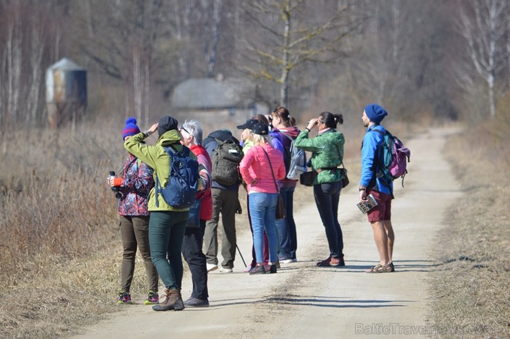 Dabas liegumā «Lubāna mitrājs» Putnu dienās pulcējas zinātkāri dabas draugi 250956