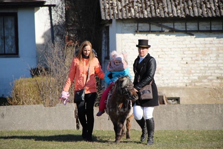 Lieldienu tirdziņš Lielvārdē pirmssvētku laikā pulcēja ne vien prāvu tirgotāju, bet arī apmeklētāju pulku 251934