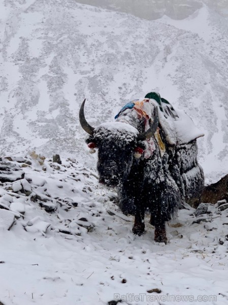 Tūroperatora Alida Tūrs valdes priekšsēdētājs Arno Ter-Saakovs piepildījis savu sapni un sasniedzis pasaules augstāko virsotni Everestu 254661