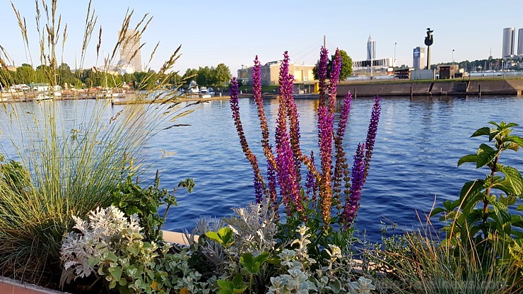 Travelnews.lv garšīgi izbauda Daugavas panorāmas restorānu «Aqua Luna» Andrejostā 256033