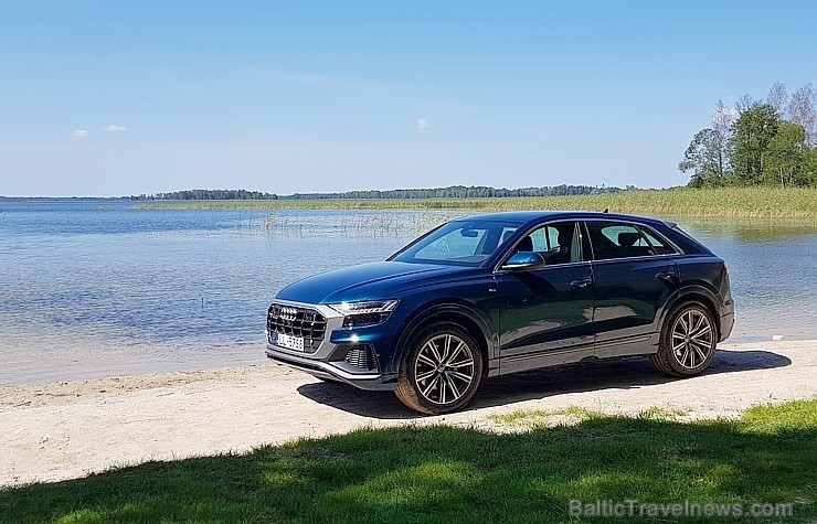 60 bildes - «Audi Q8 50 TDI» (2018) 256665