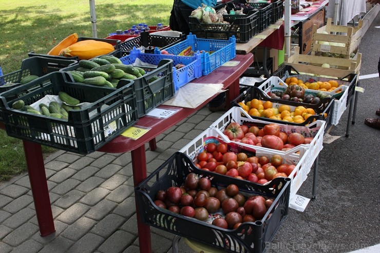 Gulbenes Zaļais tirdziņš notiek katra mēneša trešajā sestdienā un tajā var atrast tikai pašu novadnieku ražotu, audzētu un darinātu produkciju 257356