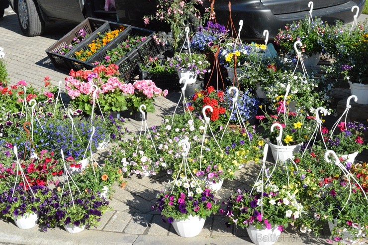 Gulbenes Zaļais tirdziņš notiek katra mēneša trešajā sestdienā un tajā var atrast tikai pašu novadnieku ražotu, audzētu un darinātu produkciju 257361