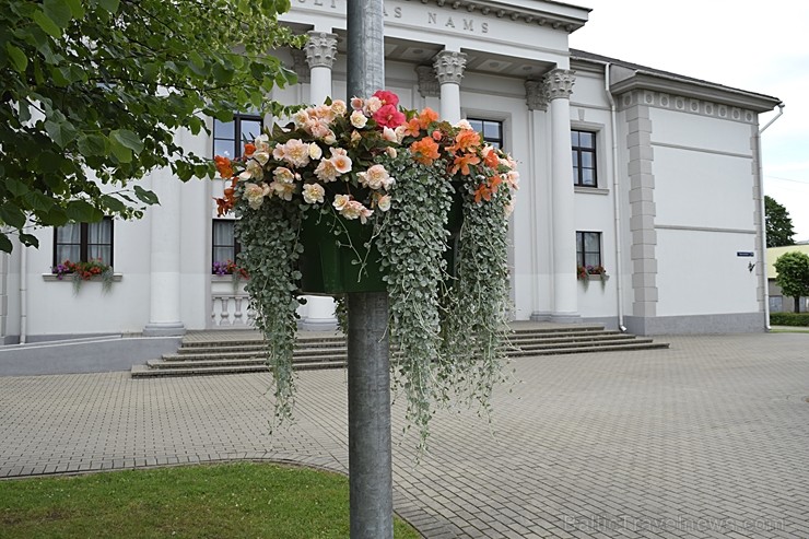 Šogad Preiļu pilsētas ziedu apstādījumos valda lillā, dzeltenais un oranžais tonis, bet Preiļu pilsētas centru rotā krāšņa ziedu upe 258382