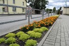 Šogad Preiļu pilsētas ziedu apstādījumos valda lillā, dzeltenais un oranžais tonis, bet Preiļu pilsētas centru rotā krāšņa ziedu upe 8