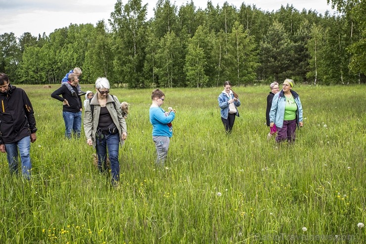 Jau 10. gadu ar pārgājieniem Dundagas novada dabā un unikālajā kultūrvidē vasaras sākumā rīkoja Slīteres Ceļotāju dienas, savukārt Mājas kafejnīcu die 258533