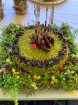 Zaubes savvaļas kulinārā festivāla ietvaros nosaka labāko lauku torti. Foto: Erlens Ernstsons 3