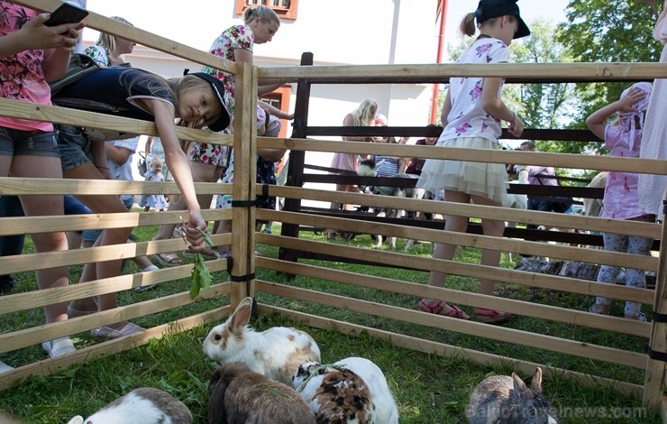 Ar krāšņu pasākumu buķeti Krāslavā vairaku dienu garumā svinēja pilsētas svētkus 259837