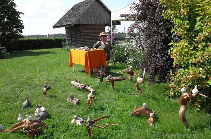 Amatas novada Āraišu vējdzirnavās Maizes dienā smaržoja klaipiņi, rosījās cepējas baltos priekšautos un pulciņiem vien nākca viesi - rudzu maizes cien 260471