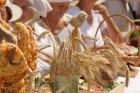 Amatas novada Āraišu vējdzirnavās Maizes dienā smaržoja klaipiņi, rosījās cepējas baltos priekšautos un pulciņiem vien nākca viesi - rudzu maizes cien 10