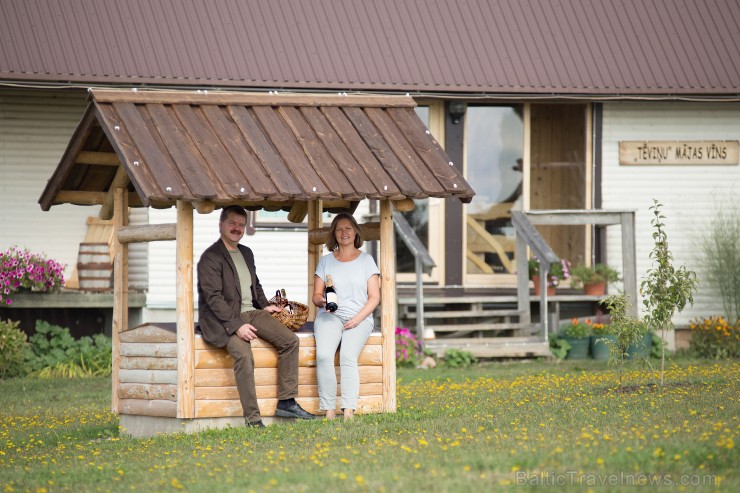 Ülevaade veinimeistri argipäevast 263248