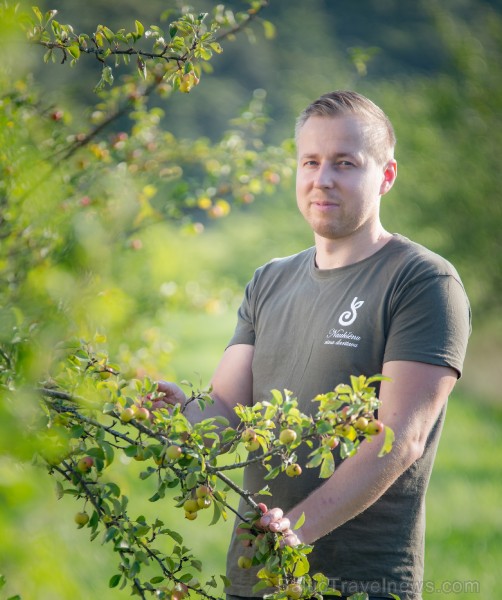 Ülevaade veinimeistri argipäevast 263259