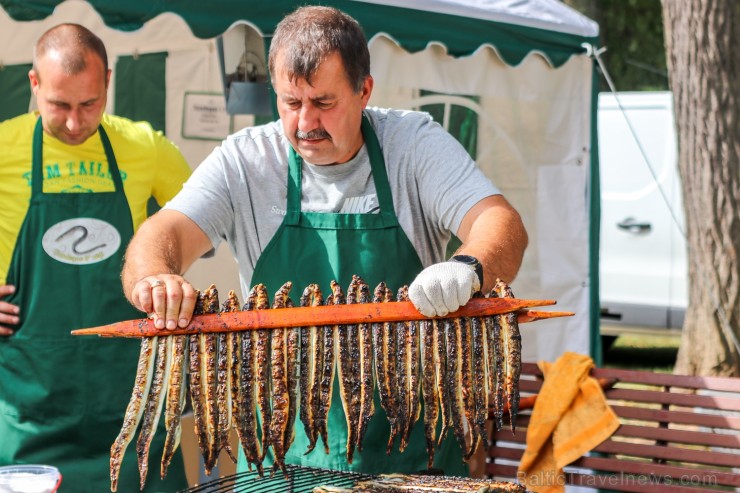 Nēģu svētki ir vērienīgākie svētki Carnikavas novadā, kuri ik gadu tiek svinēti augustā, atzīmējot nēģu zvejas sezonas atklāšanu 263341