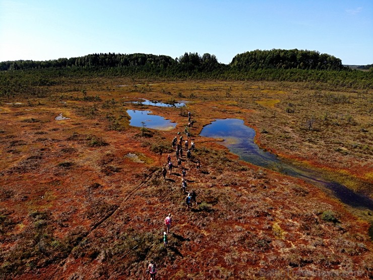 Ziemeļvidzemes biosfēras rezervāts ir vienīgā šāda veida īpaši aizsargājamā dabas teritorija Latvijā, kas aptver 457 600 hektārus sauszemes un 16 750  263659