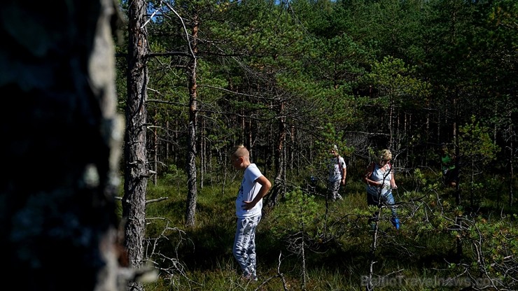 Ziemeļvidzemes biosfēras rezervāts ir vienīgā šāda veida īpaši aizsargājamā dabas teritorija Latvijā, kas aptver 457 600 hektārus sauszemes un 16 750  263670