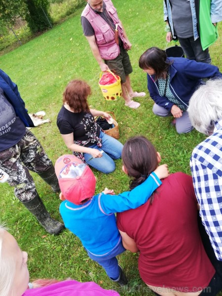 Sēņu dienas apmeklētāji varēja iepazīties ar ēdamām, indīgām un aizsargājamām sēnēm, veidot sēnes, salikt puzles un uzzināt par sēnēm piemērotām dzīvo 264488