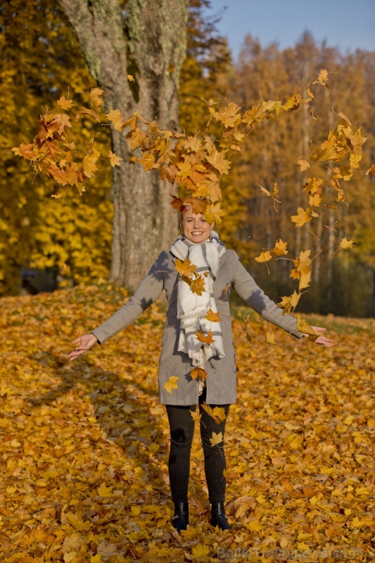 Lai arī šķiet, ka rudens tikai nupat sācies, nepamirkšķināsim ne acu, kad koki būs klāti zeltā! Izbaudi šo gleznaino laiku Alūksnes pusē! 266040