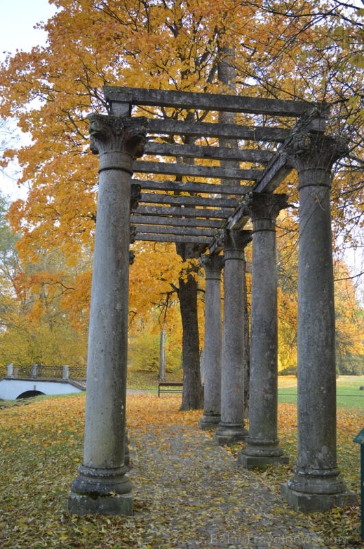 Lai arī šķiet, ka rudens tikai nupat sācies, nepamirkšķināsim ne acu, kad koki būs klāti zeltā! Izbaudi šo gleznaino laiku Alūksnes pusē! 266042