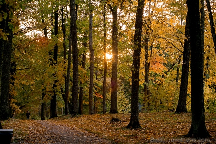 Lai arī šķiet, ka rudens tikai nupat sācies, nepamirkšķināsim ne acu, kad koki būs klāti zeltā! Izbaudi šo gleznaino laiku Alūksnes pusē! 266057