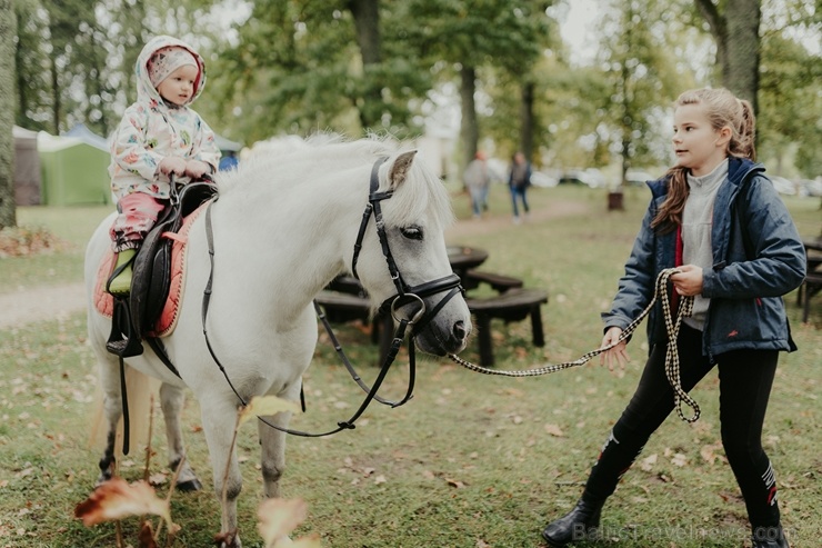 Valmieras pusē ar tirdziņu lustīgi svin Miķeļdienu 266186