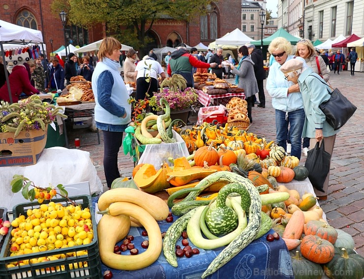 Rīgas Doma laukumā Miķeltirgus piesaista lielu apmeklētāju un pilsētas viesu skaitu 266712