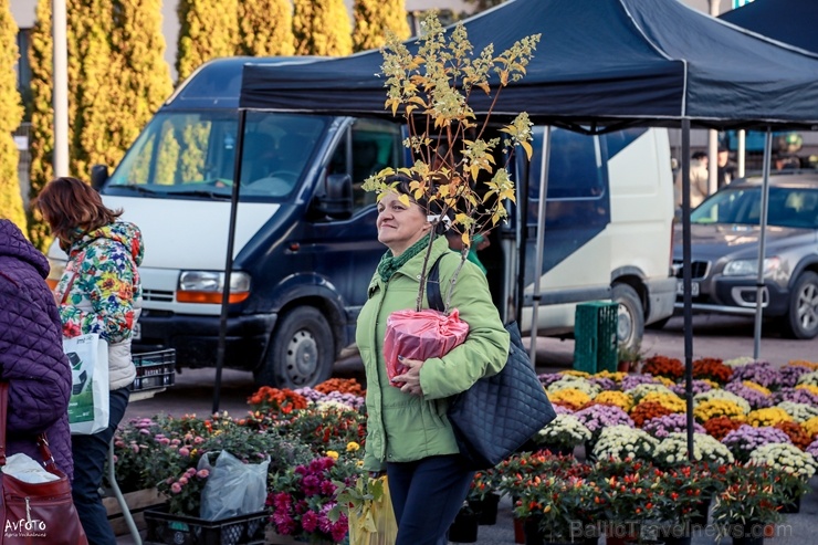 Madonas Saieta laukumā un tuvākajā apkārtnē notika tradicionālais rudens gadatirgus 