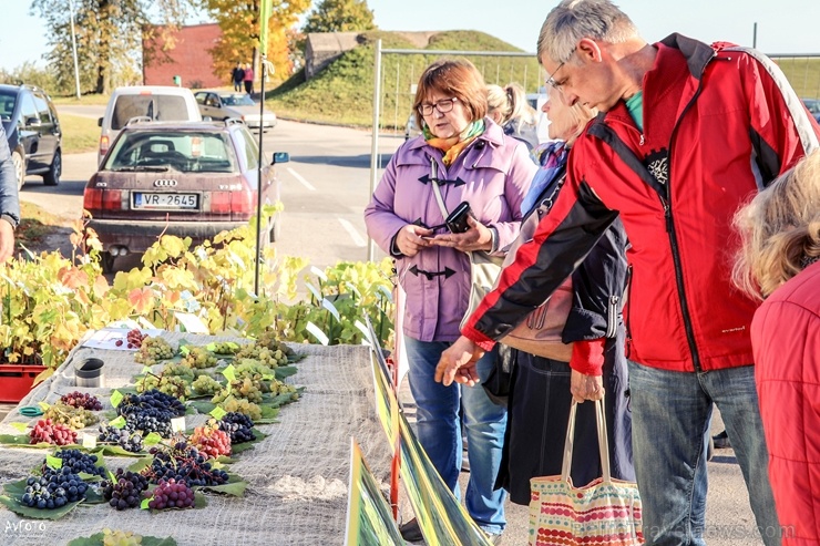 Madonas Saieta laukumā un tuvākajā apkārtnē notika tradicionālais rudens gadatirgus 