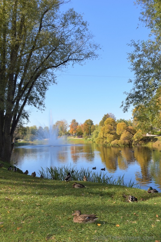 Ceļotājus Valmierā sagaida krāšņs rudens, kas ik dienu arvien vairāk rotā pilsētu 267550