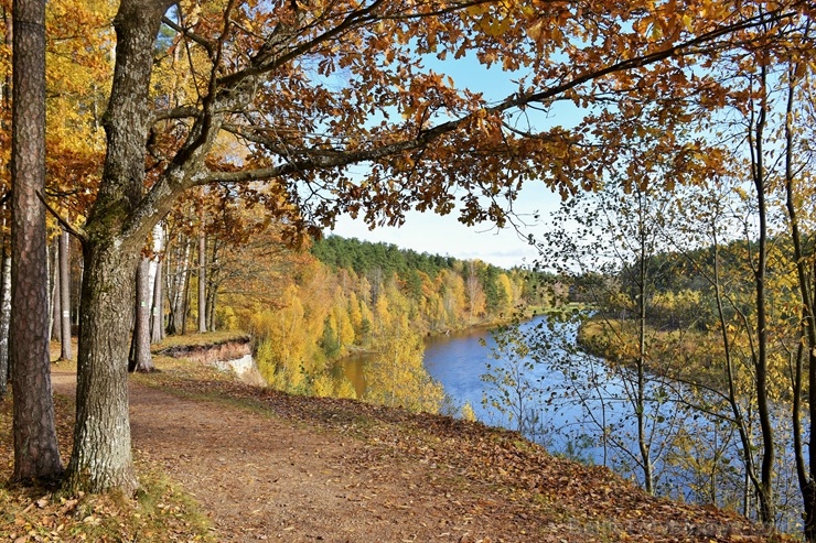 Valmieras pilsēta rotājas rudens zeltā 268463