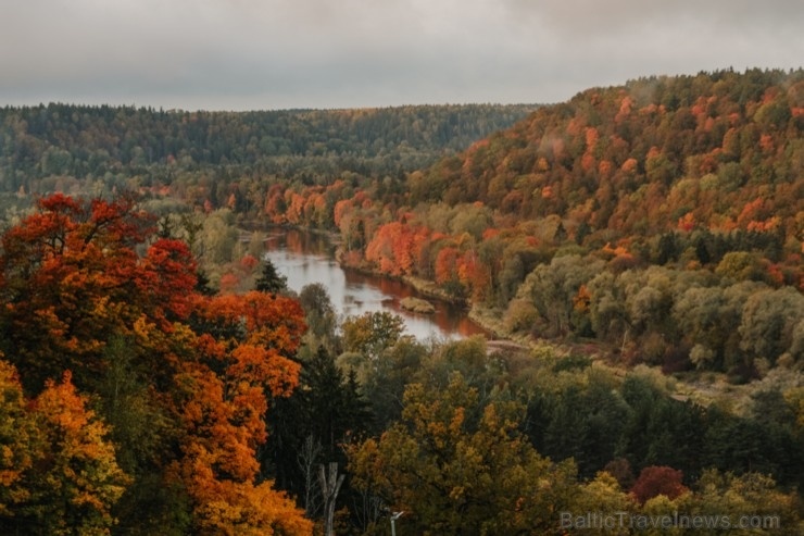 Sigulda var dižoties daudzveidīgām rudens ainavām pilsētā un tās apkārtnē 267577